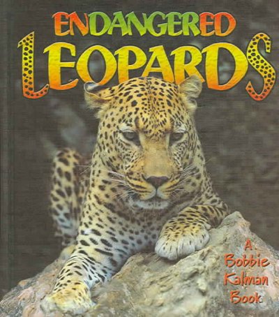 Endangered leopards / Bobbie Kalman & Hadley Dyer.