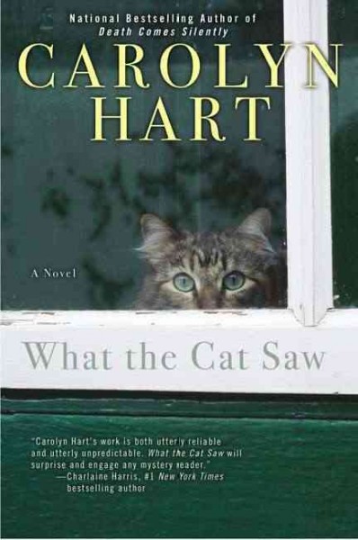 What the cat saw / Carolyn Hart.