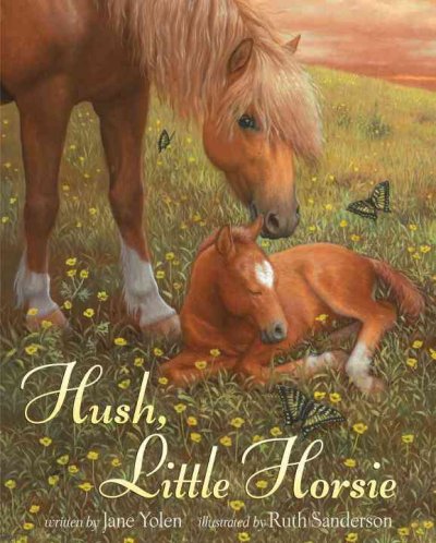 Hush, little horsie / by Jane Yolen ; illustrated by Ruth Sanderson.
