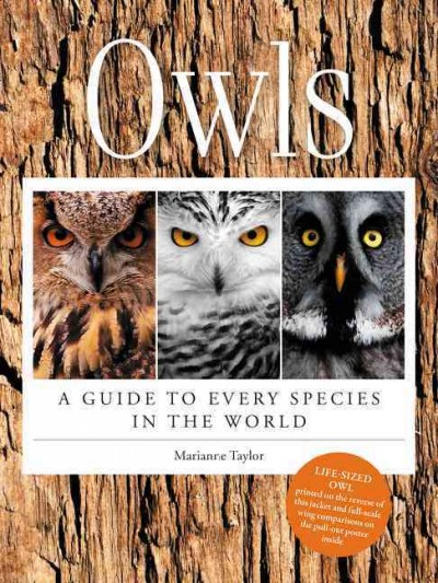 Owls : a guide to every species in the world / Marianne Taylor.