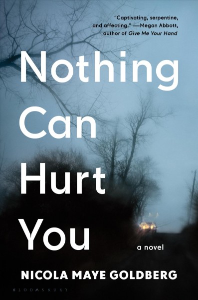 Nothing can hurt you : a novel / Nicola Maye Goldberg.