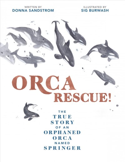 Orca rescue! : the true story of an orphaned orca named Springer / written by Donna Sandstrom ; illustrated by Sarah Burwash.