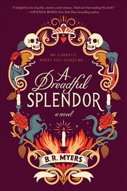 A dreadful splendor : a novel / B.R. Myers.