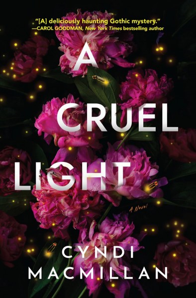 A cruel light : a novel / Cyndi MacMillan.