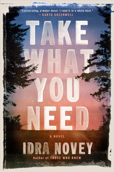 Take what you need : a novel / Idra Novey.