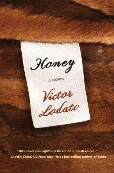 Honey : a novel / Victor Lodato.