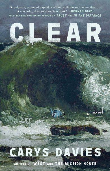 Clear : a novel / Carys Davies.