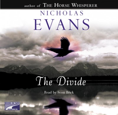 The divide [sound recording] / Nicholas Evans.