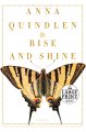 Rise and shine : a novel  Cover Image
