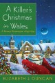 Go to record A killer's Christmas in Wales : a Penny Brannigan mystery