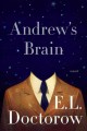 Go to record Andrew's brain : a novel