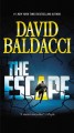 The escape : a novel  Cover Image