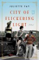 City of flickering light  Cover Image