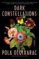 Go to record Dark constellations : a novel